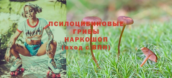 марки lsd Беломорск