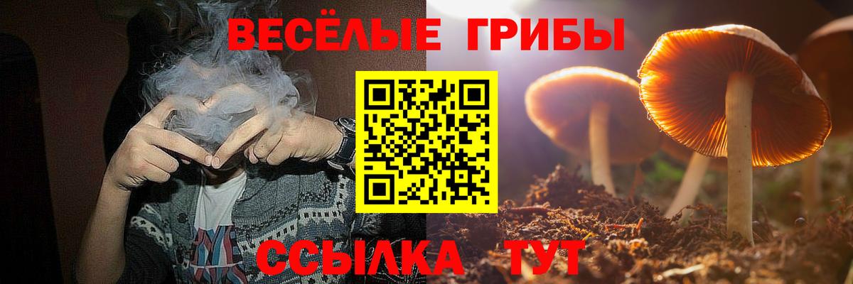 Бузулук  Псилоцибиновые грибы Magic Shrooms  Вход с VPN 
